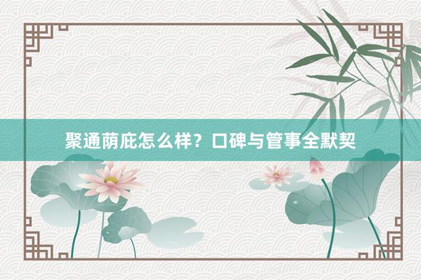 聚通荫庇怎么样？口碑与管事全默契