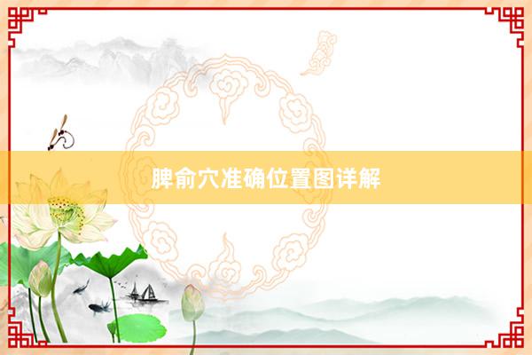 脾俞穴准确位置图详解