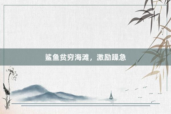 鲨鱼贫穷海滩，激励躁急