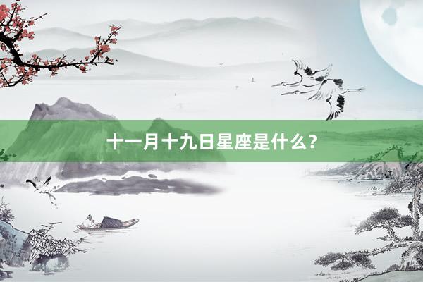 十一月十九日星座是什么？