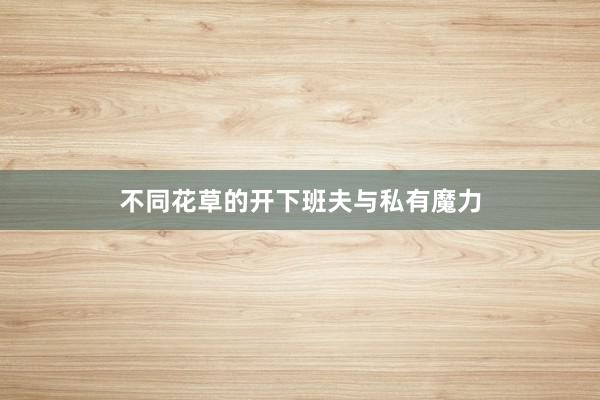 不同花草的开下班夫与私有魔力