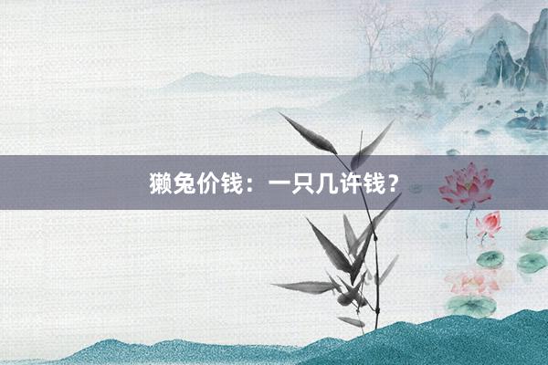 獭兔价钱：一只几许钱？